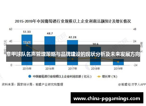 意甲球队名声管理策略与品牌建设的现状分析及未来发展方向