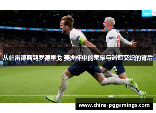 从帕雷德斯到罗德里戈 美洲杯中的荣耀与遗憾交织的背后