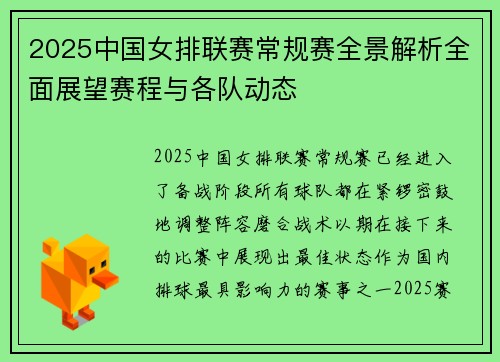 2025中国女排联赛常规赛全景解析全面展望赛程与各队动态