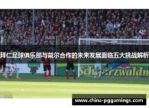 拜仁足球俱乐部与戴尔合作的未来发展面临五大挑战解析