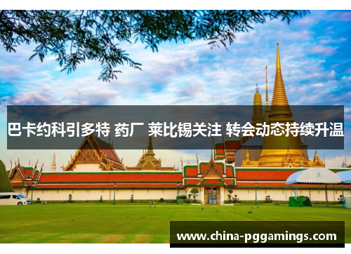 巴卡约科引多特 药厂 莱比锡关注 转会动态持续升温