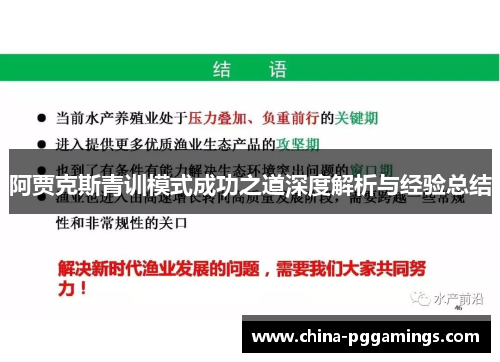 阿贾克斯青训模式成功之道深度解析与经验总结
