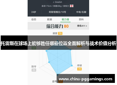 托雷斯在球场上能够胜任哪些位置全面解析与战术价值分析
