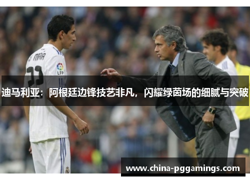 迪马利亚:阿根廷边锋技艺非凡,闪耀绿茵场的细腻与突破 迪马利亚:阿根廷边锋技艺非凡,闪耀绿茵场的细腻与突破