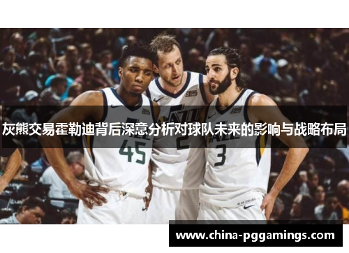 灰熊交易霍勒迪背后深意分析对球队未来的影响与战略布局