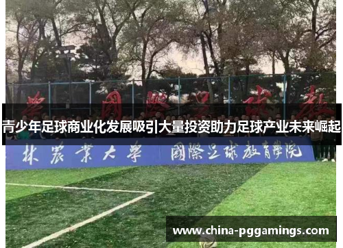 青少年足球商业化发展吸引大量投资助力足球产业未来崛起 青少年足球商业化发展吸引大量投资助力足球产业未来崛起