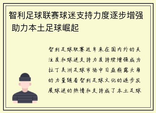 智利足球联赛球迷支持力度逐步增强 助力本土足球崛起